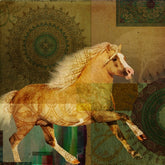 ARABIC HORSES COLLAGE